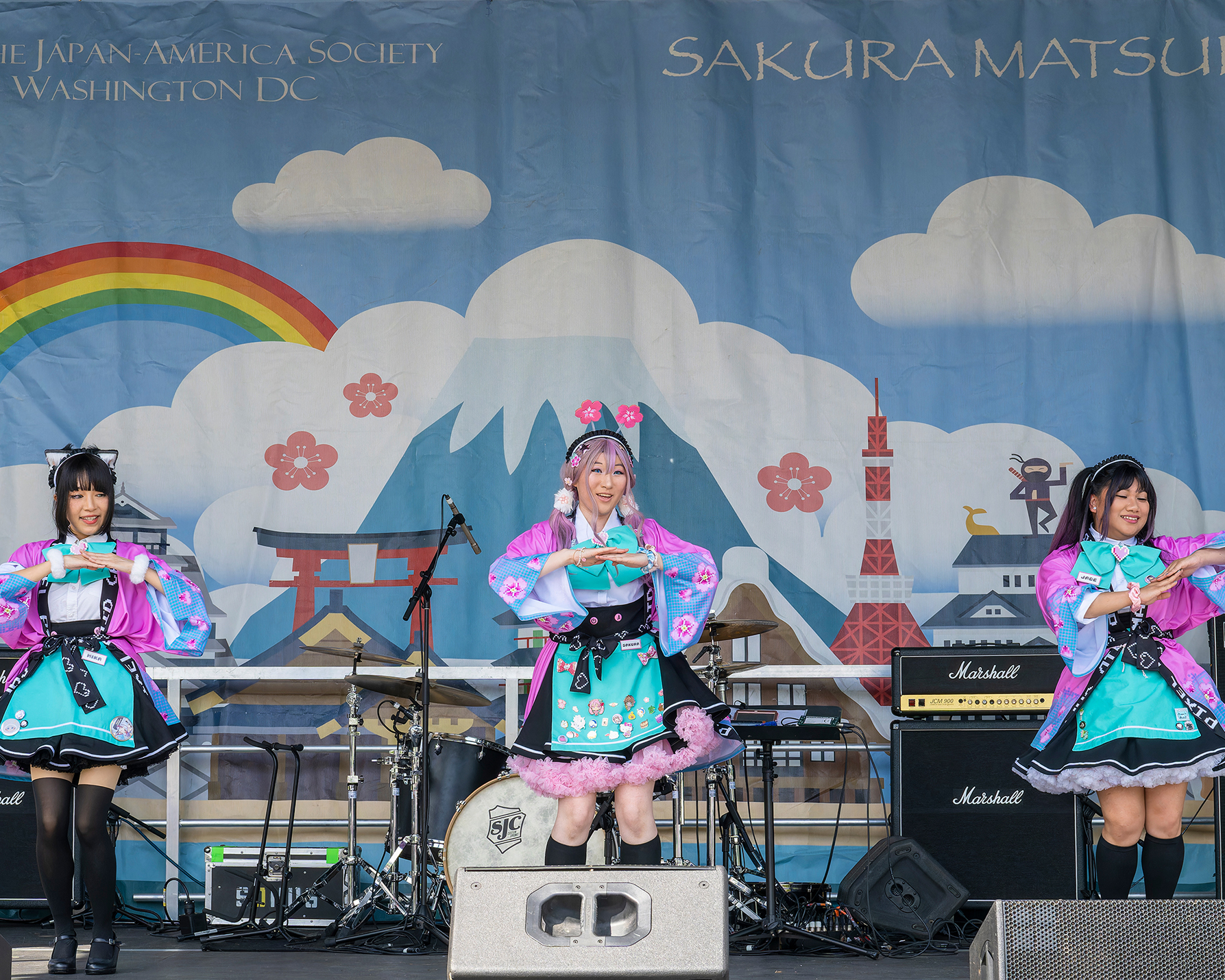 Sakura Matsuri